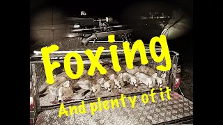 Foxing &  plenty of it action packed