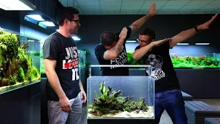 BUILD A PLANTED TANK EASILY WITH OUR FRIEND PETER ROSCOE