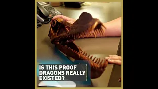 Is this proof dragons really existed?