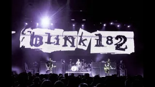 Blink 182 - 03/08/2003 - Osaka, Japan Live @ Summer Sonic Festival