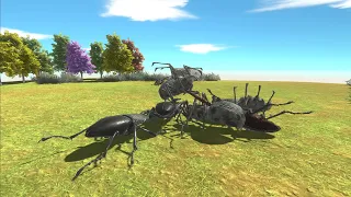 Saber-Toothed Spider VS Giant Stag Beetle Animal Revolt Battle Simulator