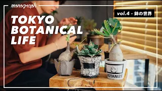 TOKYO BOTANICAL LIFE - vol.4 本当は教えたくない、"鉢"の世界。