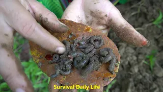 Primitive Life - Living off grid how to bushcraft - smart survival in the forest