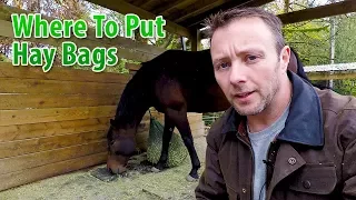 Taking Care of Horses: Placement of Hay Bags