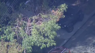 LAPD in pursuit of vehicle in San Fernando Valley