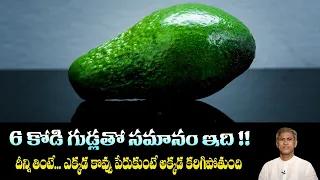 Zero Cholesterol Fruit | Burns Fat | Strength | Prevents Prostate Cancer | Dr.Manthena's Health Tips