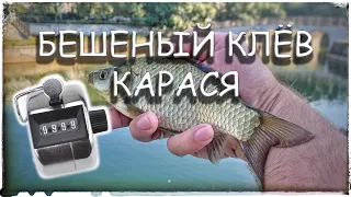 Мормышинг - Ловим карася - Рекордные результат