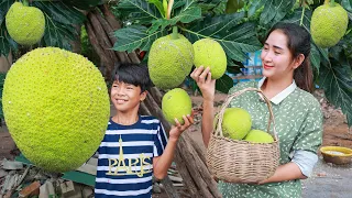 Bring Breadfruit home for recipe - Breadfruit tree in my village - Harvest Sake fruit dessert