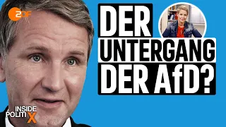 Machtkampf um die AfD-Parteispitze - Showdown in Sachsen? | Inside PolitiX