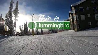 This is Hummingbird POV at Big White Ski Resort (4k)