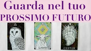 Cosa stai manifestando ora? GUARDA NEL FUTURO | LETTURA INTERATTIVA PRIMO QUARTO TAROCCHI