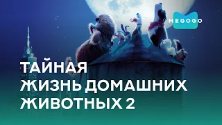 Тайная жизнь домашних животных 2 - Мультфильм. Бесплатно на Megogo.net новые мультфильмы. Трейлер