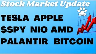 Update on the S&P 500, Apple, Tesla, Nvidia, Nio, Amazon, Nike, Bitcoin, Energy, Palantir & Fintech