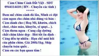 hạnh phúc đơn sơ ( Huỳnh Nguyễn Công Bằng )