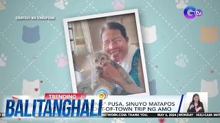 "Meow-tampuhin" na pusa! | BT