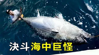 海釣有多魔幻？天價金槍魚被小夥當豬騎，百斤大魚被五歲小孩拿捏