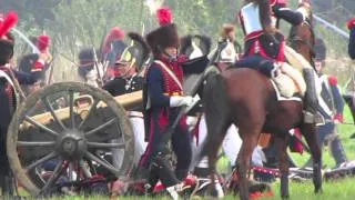 borodino 2011