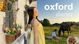 oxford diaries 🌼 that summer feeling, coping with fear of change, being productive