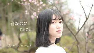 「春なのに」柏原芳恵 / Cover by mayuri