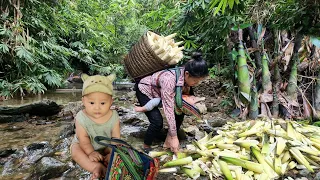 Pick bamboo shoots and bring them to the market to sell. & life of mother and baby