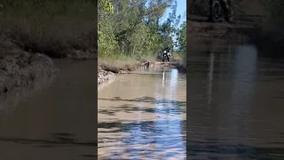 KTM 790 and BMW F800GSA water crossing