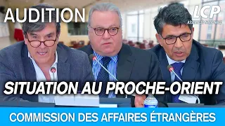 Situation au Proche Orient : table ronde - Commission des affaires étrangères - 13/03/2024