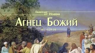 Проповедь: "Ев. от Иоанна: 10. Агнец Божий" (Алексей Коломийцев)