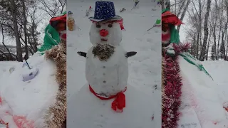 Фестиваль снеговиков в Новосибирске(Любительская сьемка)