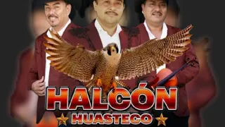 Trio Halcón Huasteco de Marte Santana. Popurri de Huapangos Tradicionales.