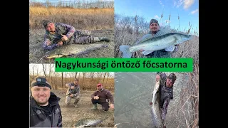 Derzsi, a Nagykunsági specialista 🎣 15kgos harcsa és 5+ süllő fogása😱. Taktika, csali, stratégia!