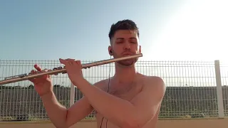 Fairytale - Shrek - Flute Cover