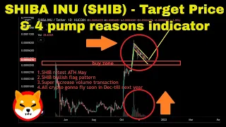 SHIBA INU (SHIB) - Target price & 4 pump reason indicator