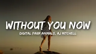 Digital Farm Animals, AJ Mitchell - Without You Now (Lyrics)