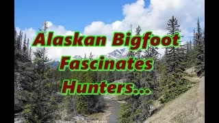 Wandering Alaskan Bigfoot BFRO Report# 1255