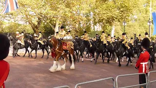 State Visit by The King and Queen of The Netherlands