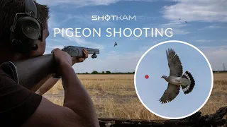 Decoying Pigeons (ShotKam Gen 3 Videos)