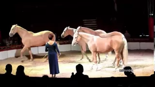 Yasmine Smart  and  Palominos Horses at  Zippos circus 2011