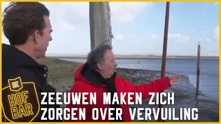 Vervuiling van de Westerschelde: Zeeuwen maken zich zorgen | De Hofbar