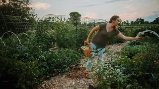 Day in the Life on Our Vegan Homestead