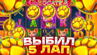 СЛОВИЛ 5 ЛАП В КЛЕОКАТРЕ! MAXWIN В CLEOCATRA? CLEOCATRA ЗАНОС! ЗАНОСЫ НЕДЕЛИ!