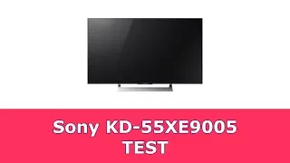 Sony KD-55XE9005 Test ✅ ReviewGeekz