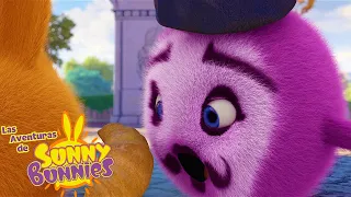 Las Aventuras de Sunny Bunnies | Buen Apetito | Serie 3 | Dibujos para niños