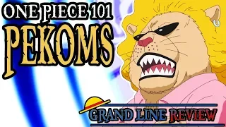 Pekoms Explained | One Piece 101