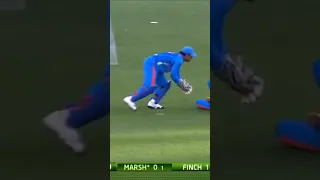 Who is best wicket keeper? #msdhoni #cricket #shorts