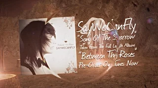 "Song of The Sparrow" (Official Lyric Video) - SayWeCanFly