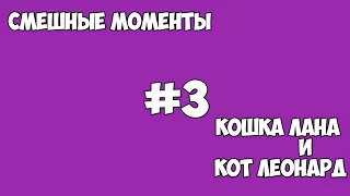 Смешные моменты #3 Кошка Лана и Кот Леонард