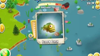 Hay Day - Learn to Catch Yellow Perch