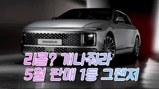 2023년 5월 판매순위_ 충격적 판매량이 그랜저 리콜 이슈를 덮는 모양새 입니다