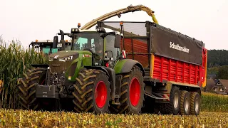 Mais 2020 : Fendt 942 / Lohnunternehmen Steyns / Claas Jaguar 960 / Fendt 936 / Maisernte / Maize 4K