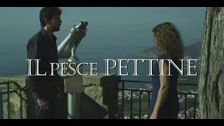 Film IL PESCE PETTINE DISPONIBILE SU AMAZON PRIME VIDEO STEFANIA SANDRELLI Stefano Masciarelli